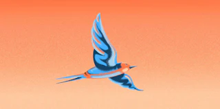 How to switch to Kit without the stress