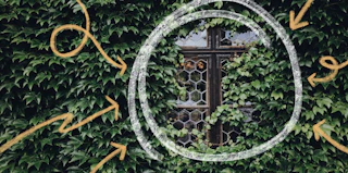 The power of a niche: How Monica Lent built a thriving paid community for developers