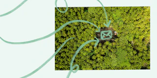 Finding email’s place in a crowded creator economy